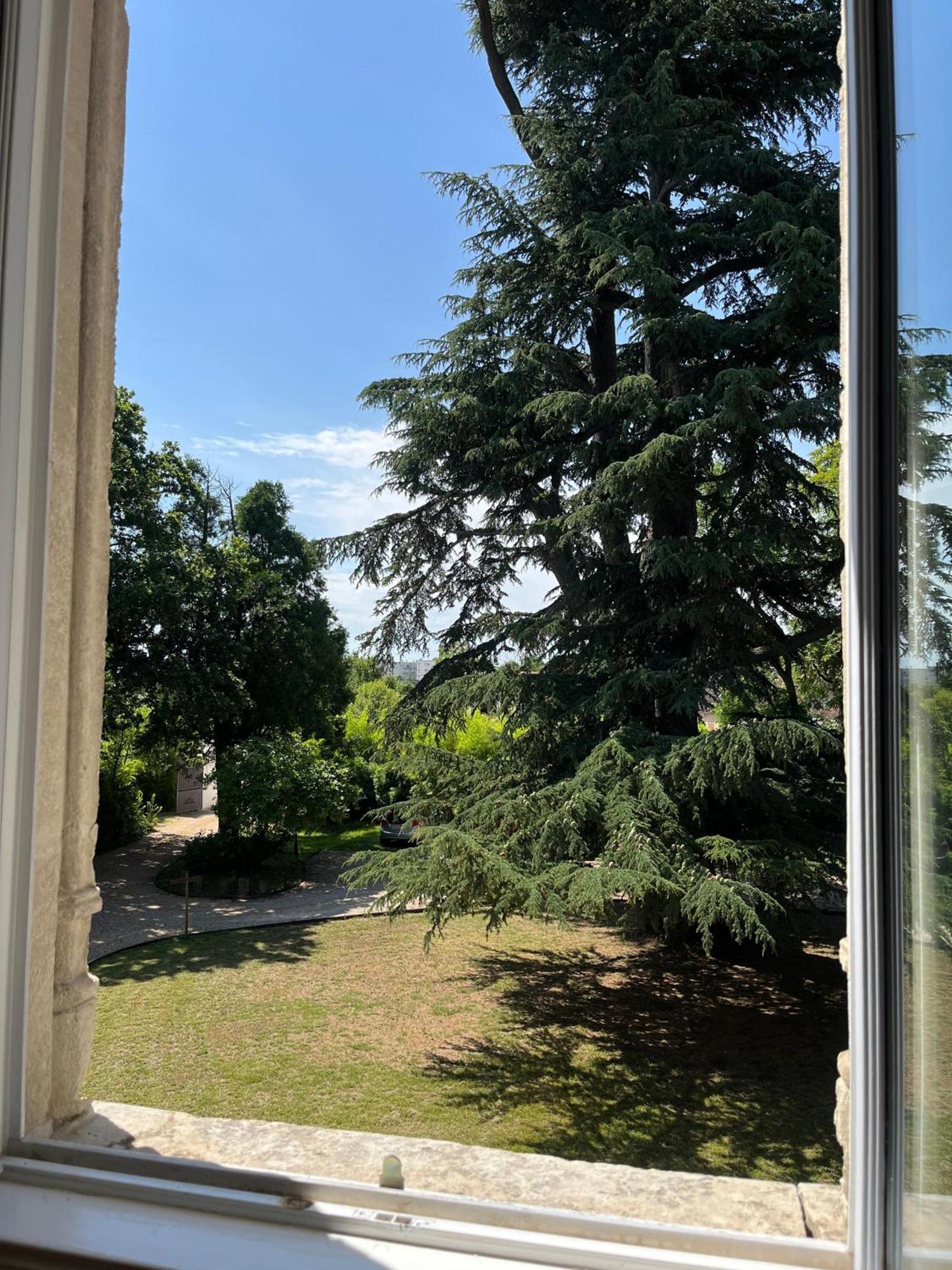 Le Clos Du Cedre Saint-Ouen  Εξωτερικό φωτογραφία